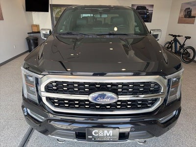 2022 Ford F-150 Platinum