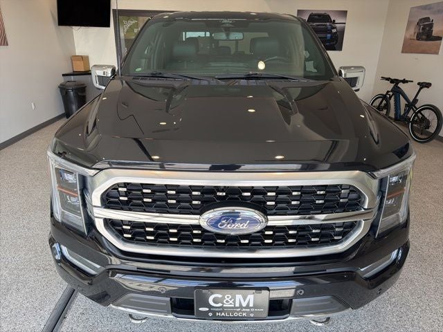 2022 Ford F-150 Platinum