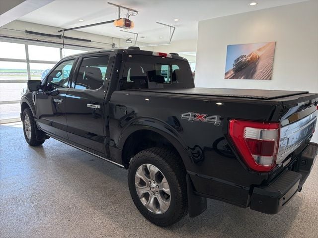 2022 Ford F-150 Platinum